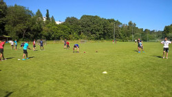 WP_20160707_10_17_04_Pro.jpg