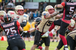 SpartansVSAnts-7.jpg