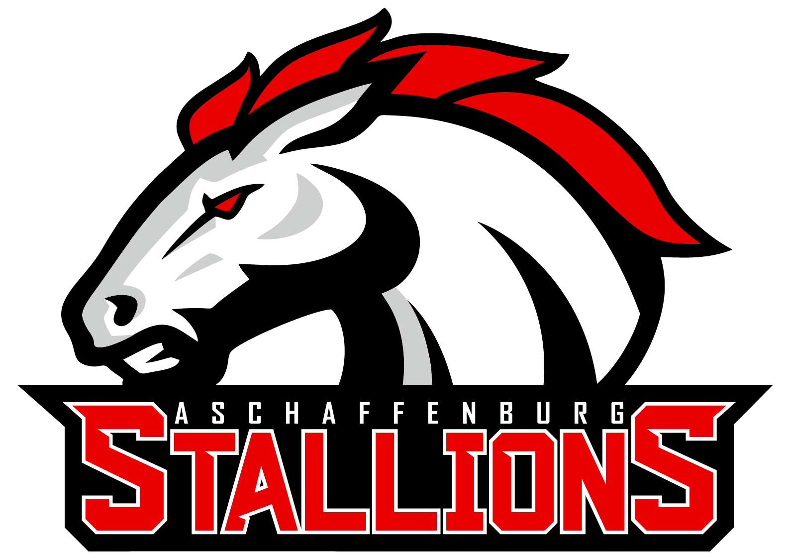 659d096591bf377567c73564_Stallions_2024.png