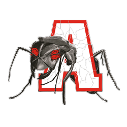 Koenigsbrunn_Ants.png